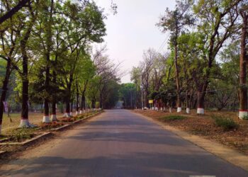 জাবিতে ডি ইউনিটের ভর্তি