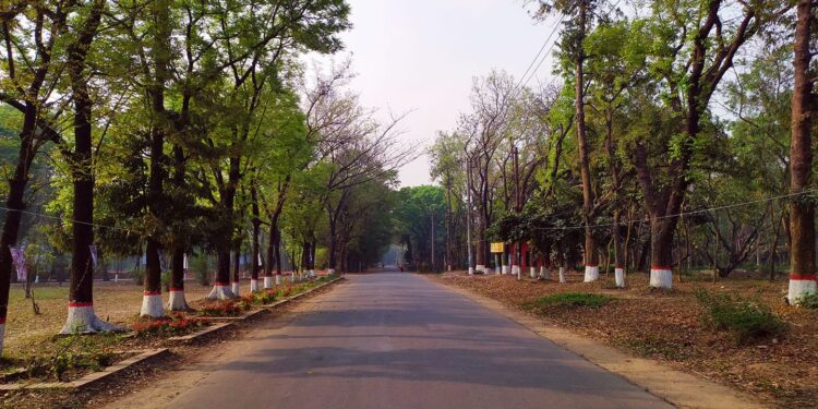 জাবিতে ডি ইউনিটের ভর্তি